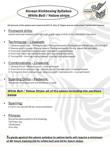 Summary of Korean Kìchkìng syllabus, outlining techniques, communication, research, and fitness.